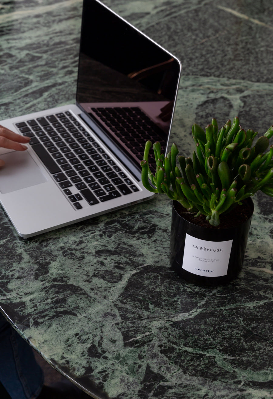 Plante By Charlot sur un bureau