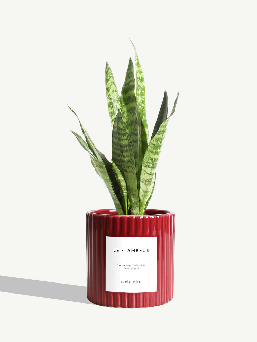 Le Flambeur