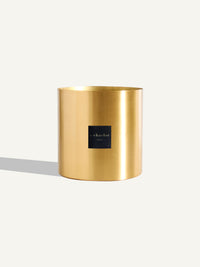 Brass - Matte Gold