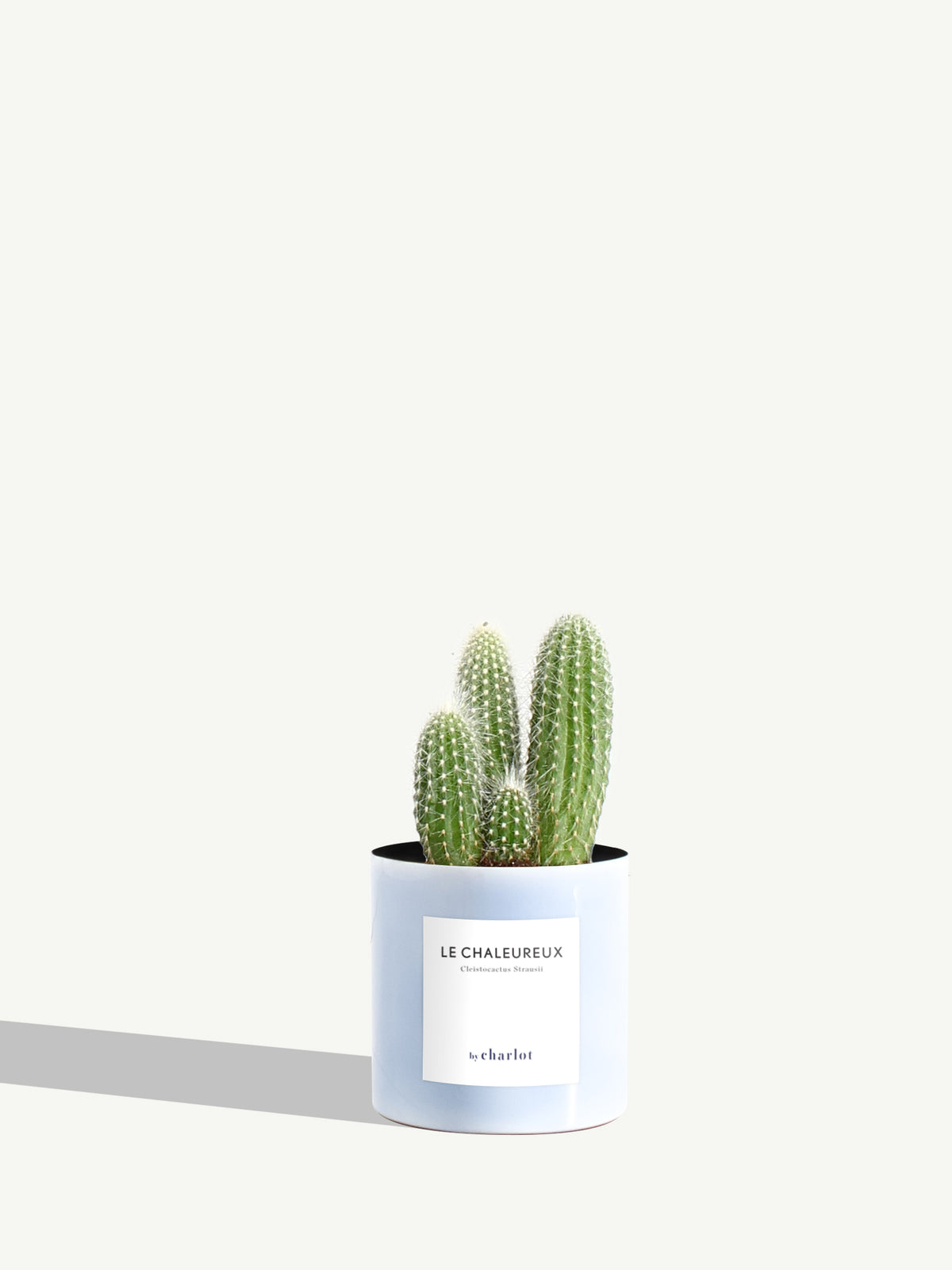The Warm One