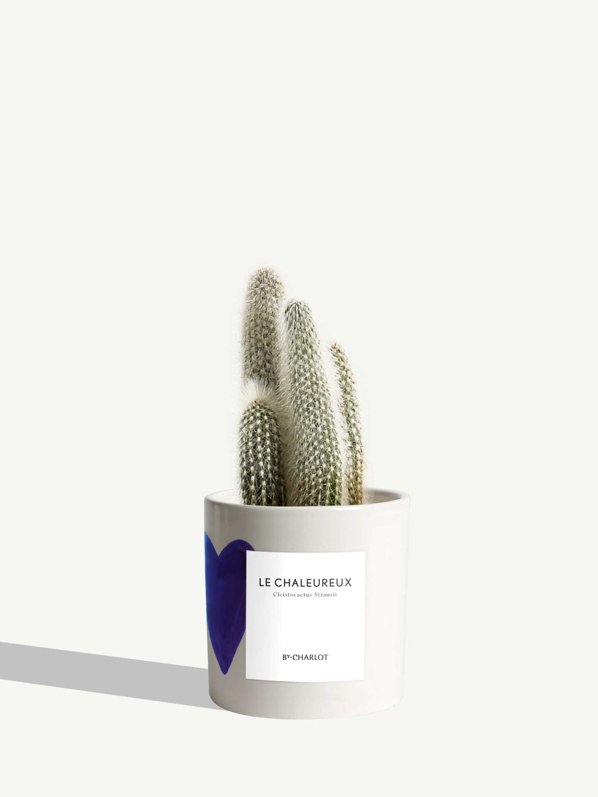 Le Chaleureux