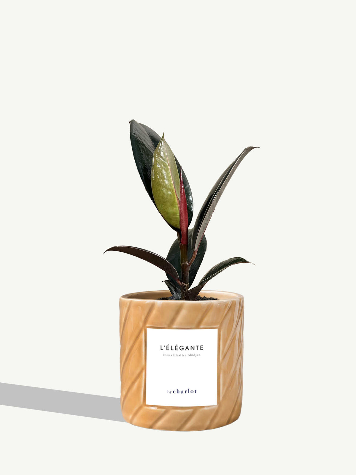 L'Élégante