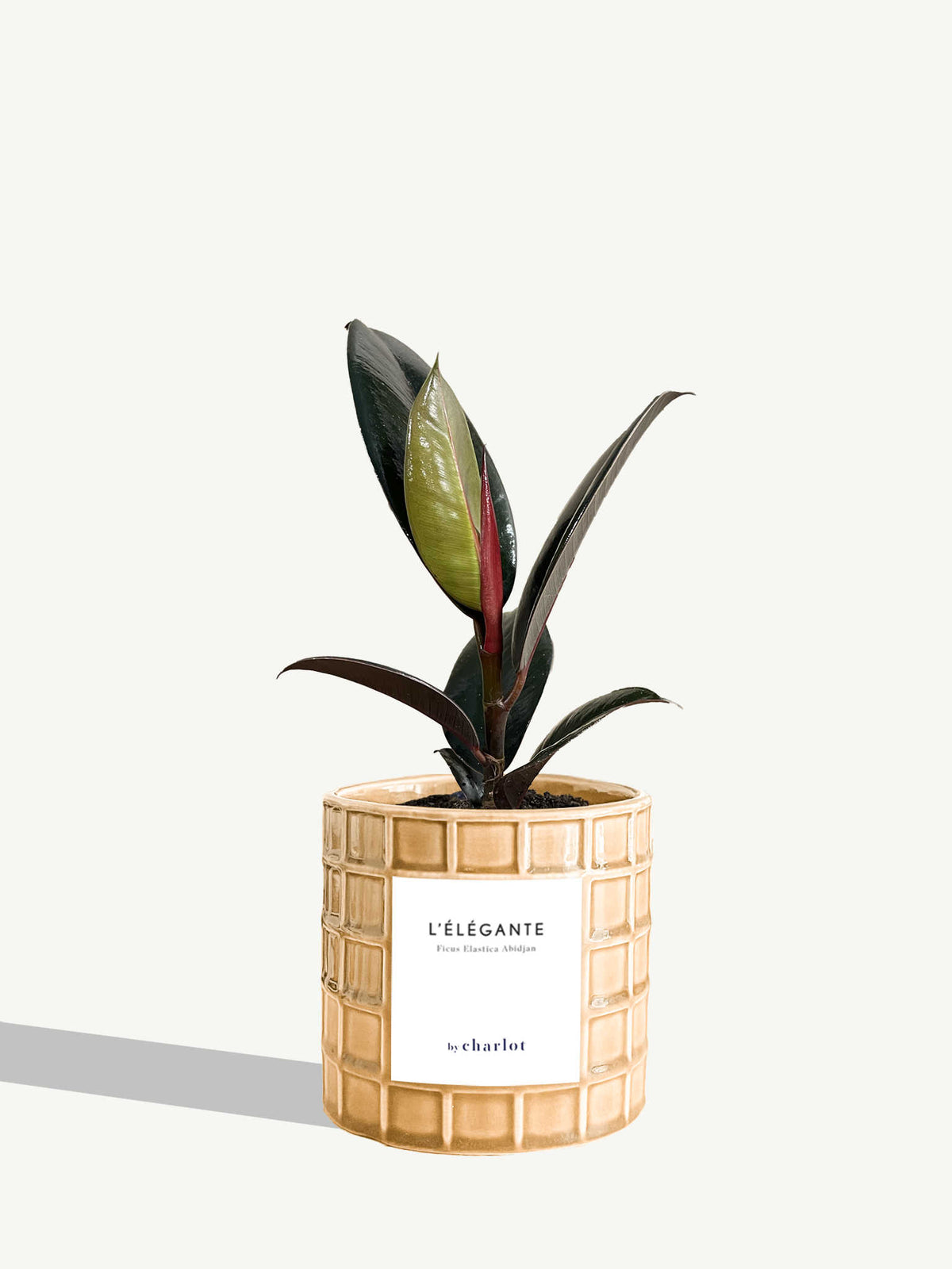 L'Élégante