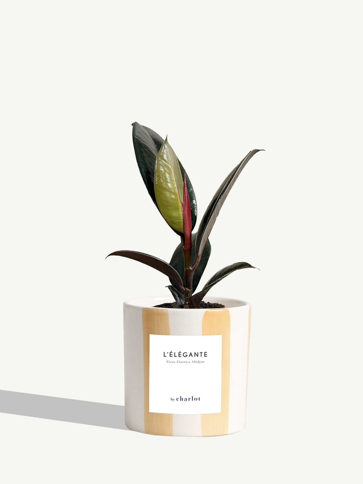 L'Élégante