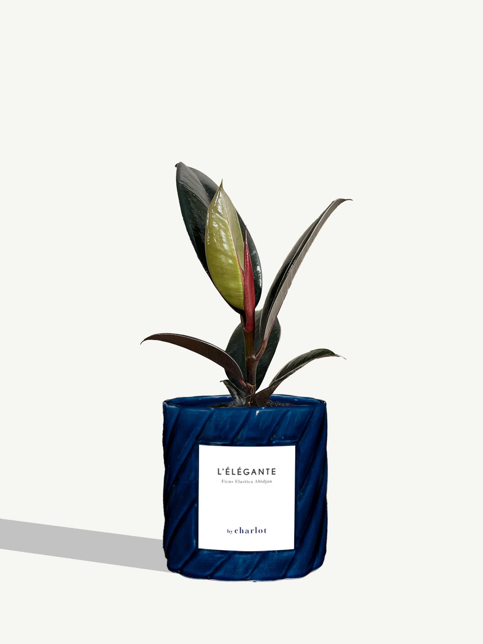 L'Élégante