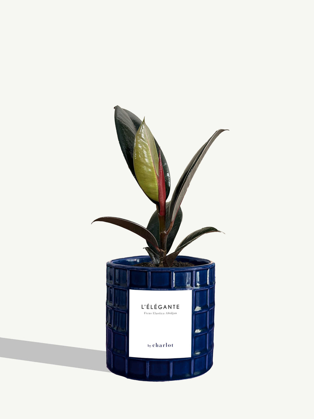 L'Élégante