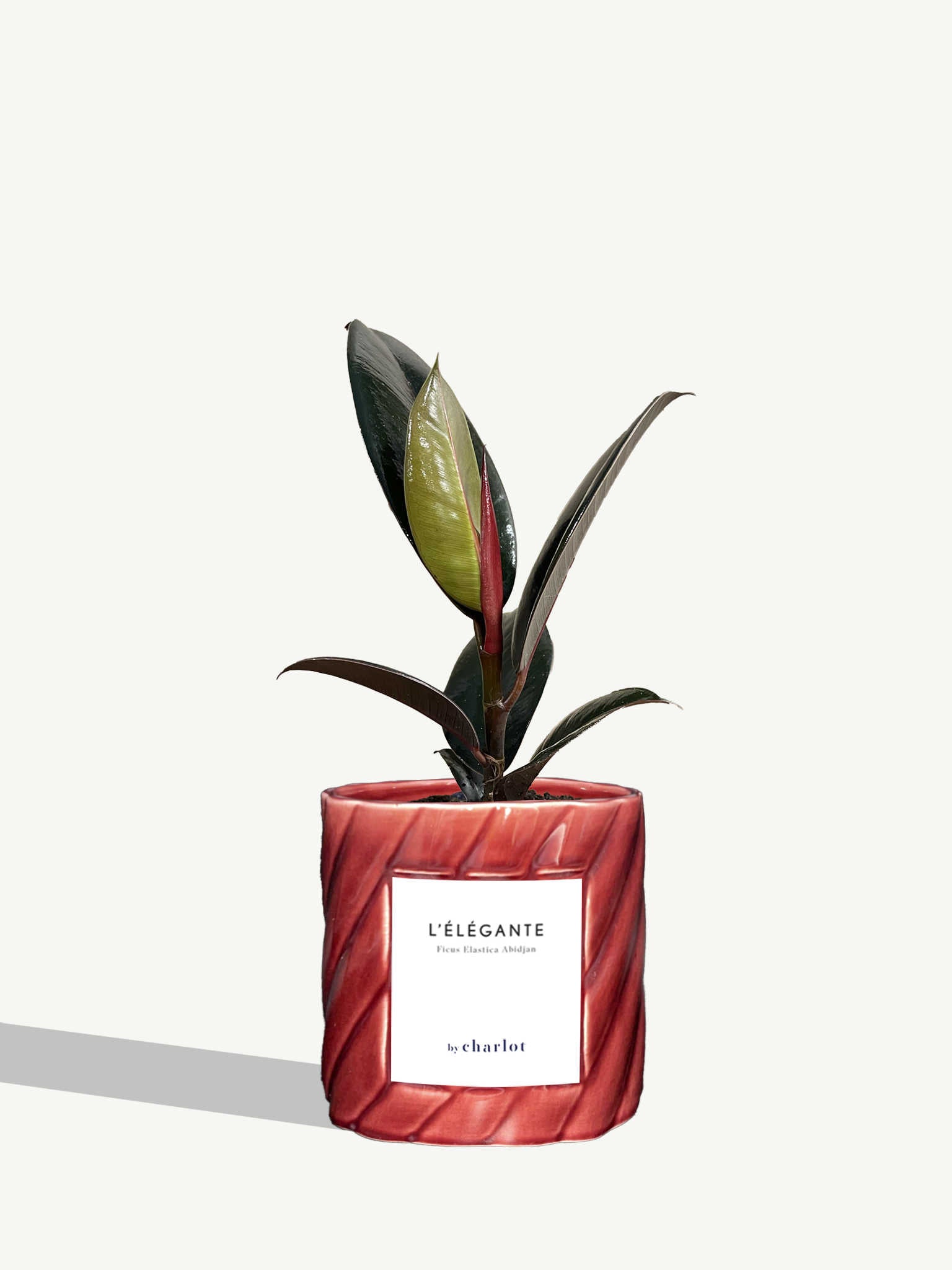L'Élégante