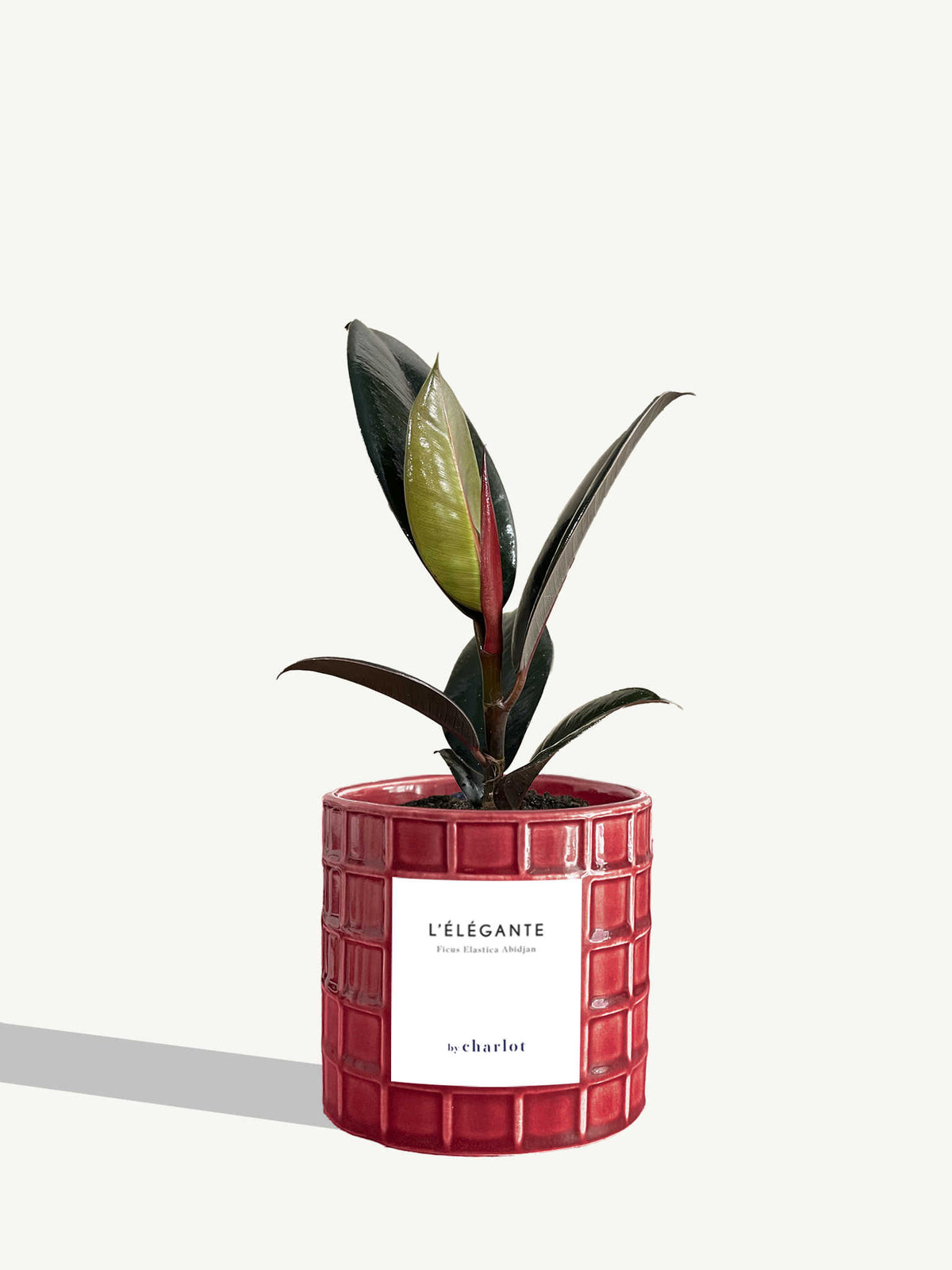 L'Élégante