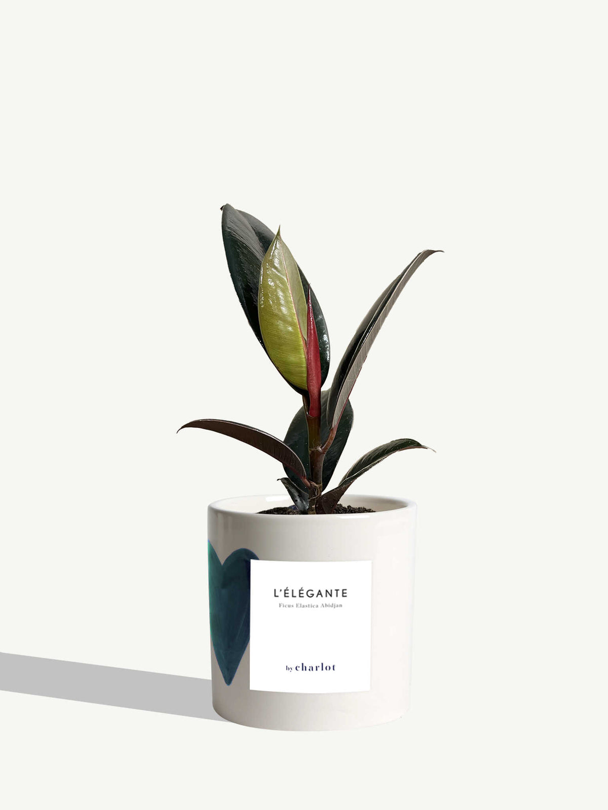 L'Élégante