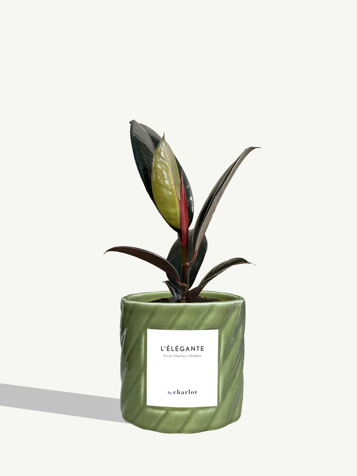 L'Élégante
