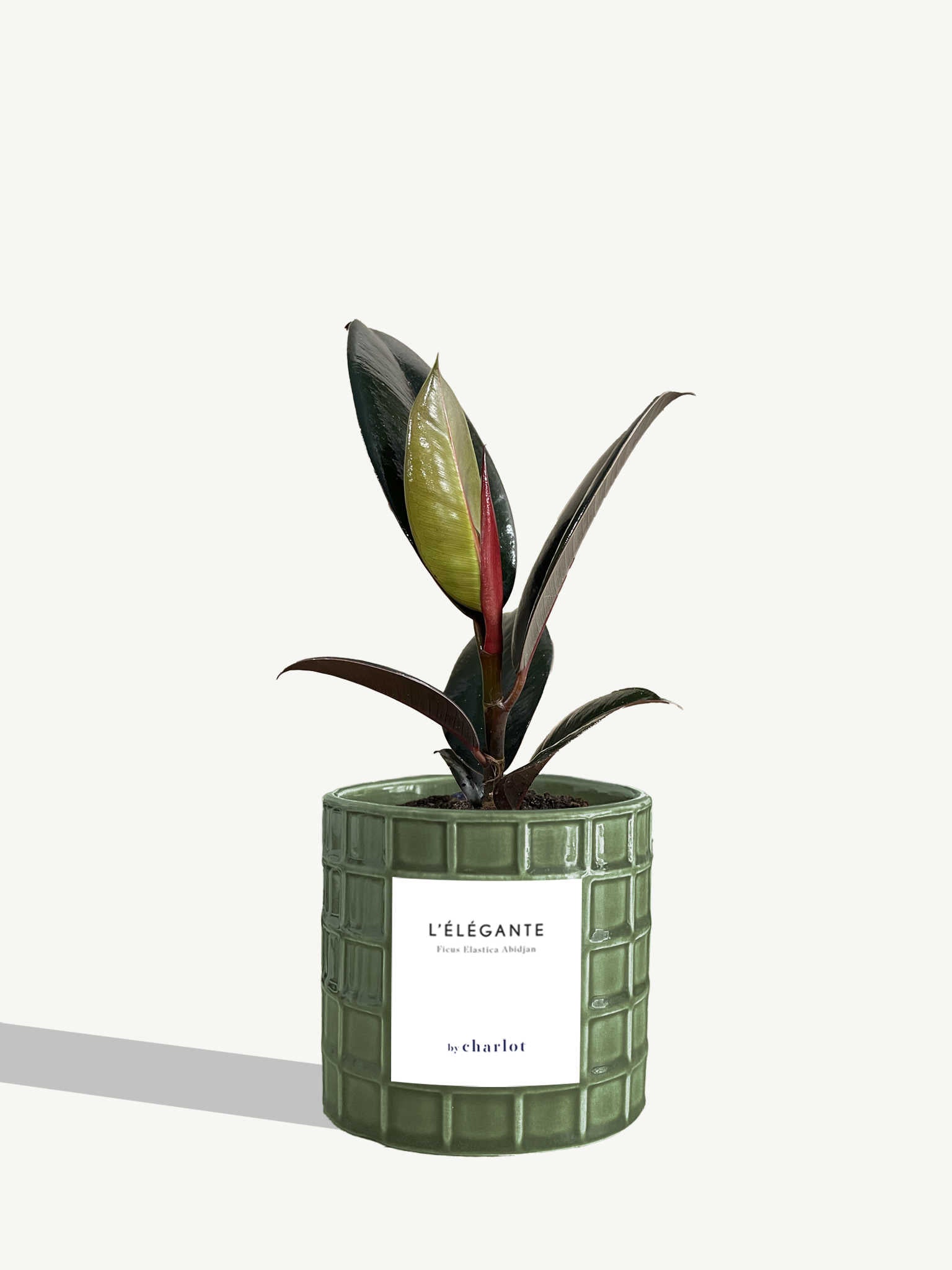 L'Élégante