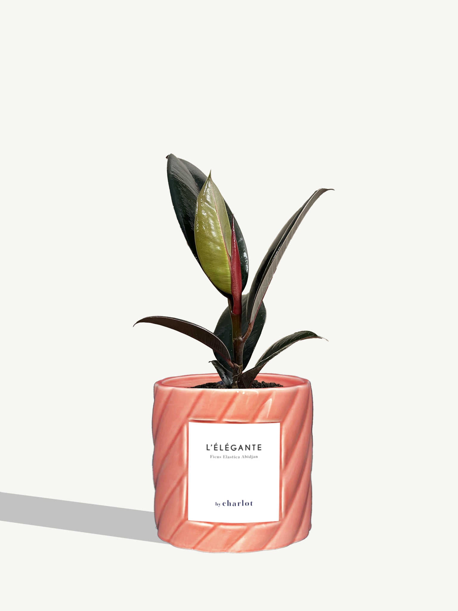 L'Élégante