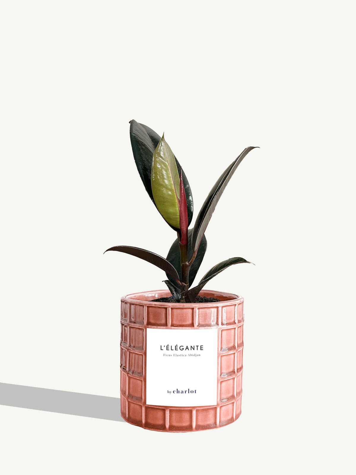 L'Élégante