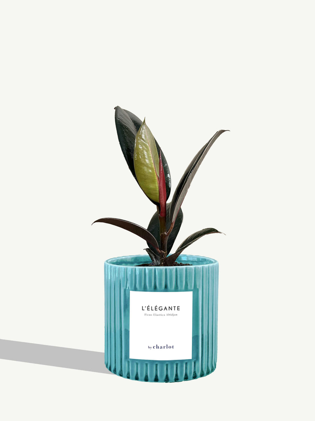 L'Élégante