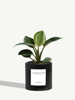 Le Fantastique