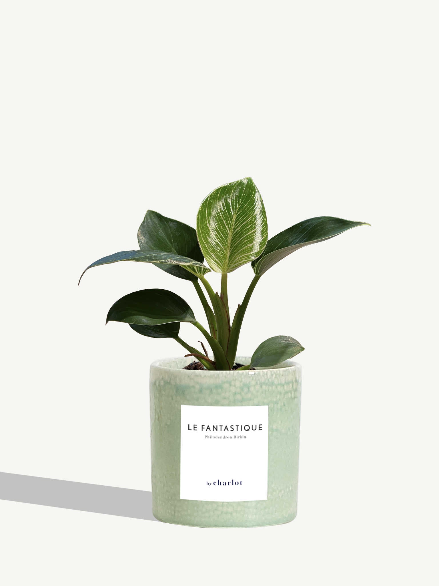 Le Fantastique