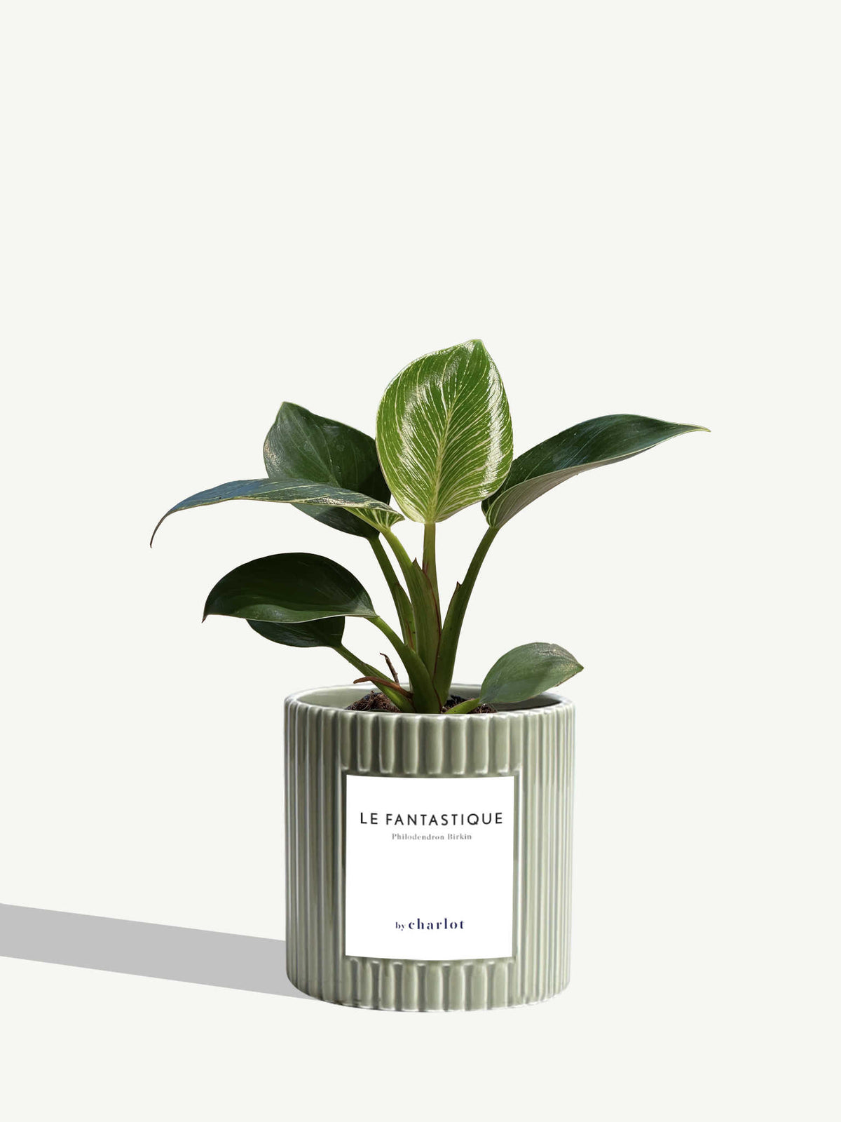 Le Fantastique