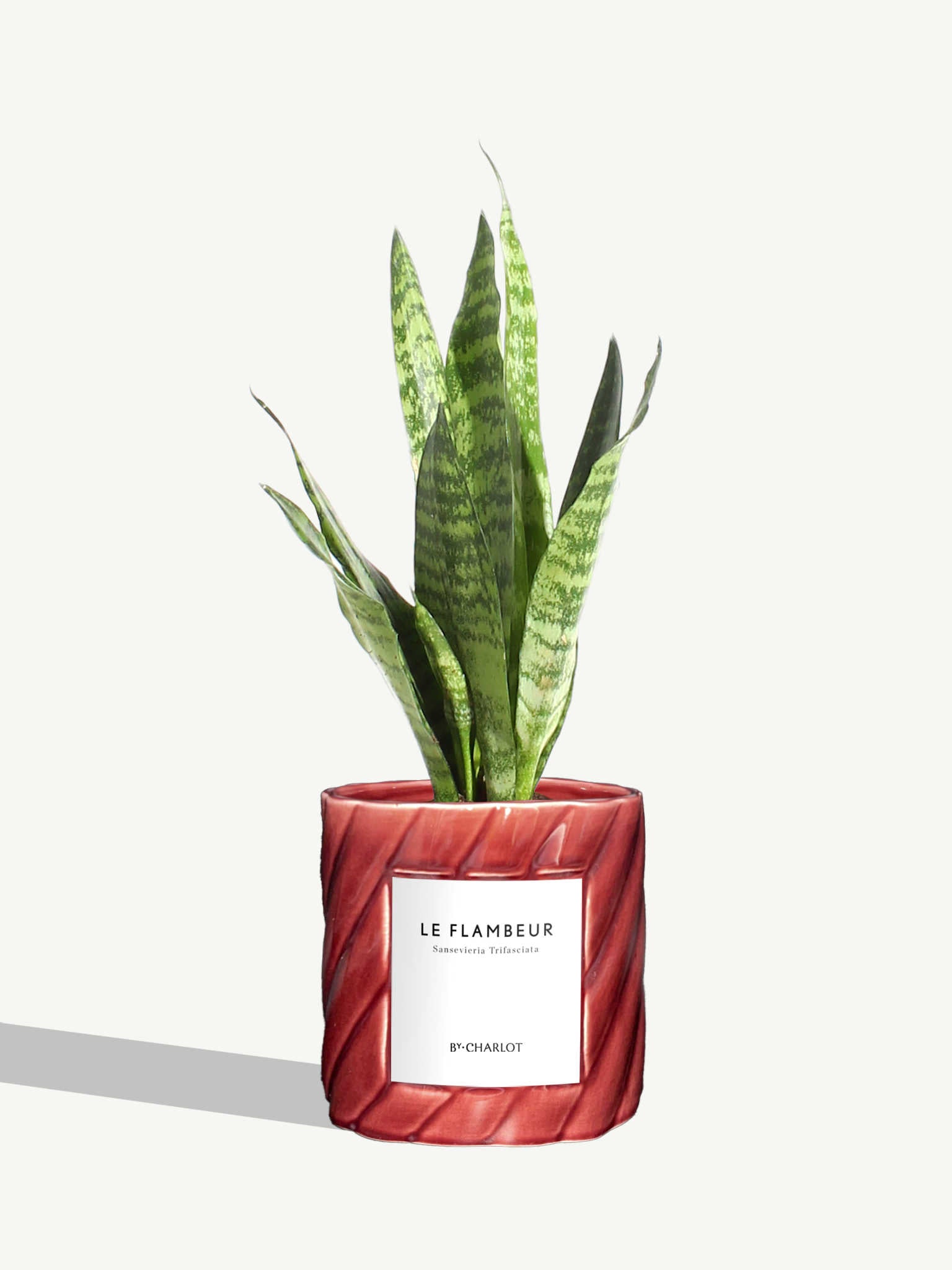 Le Flambeur
