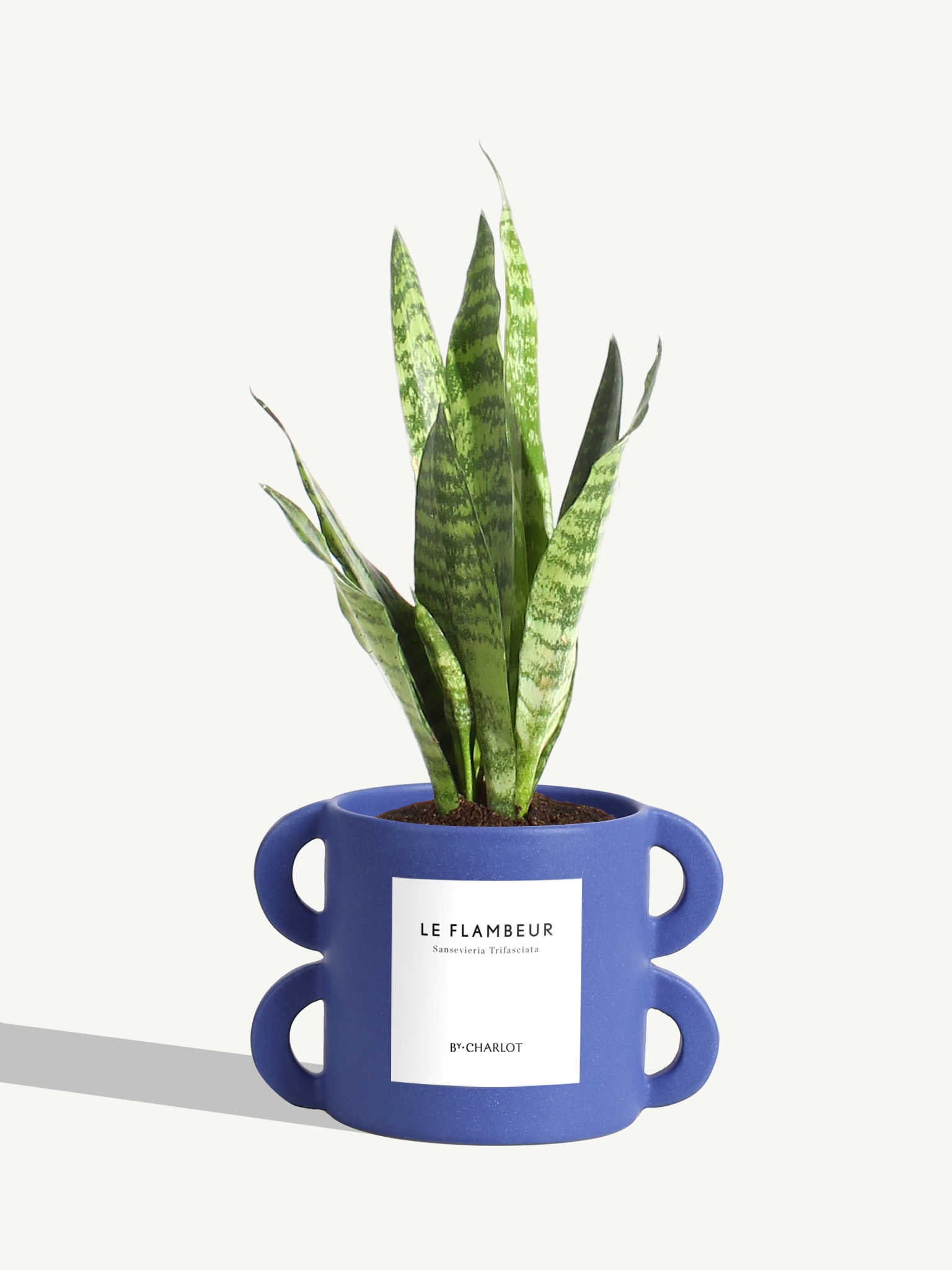 Le Flambeur