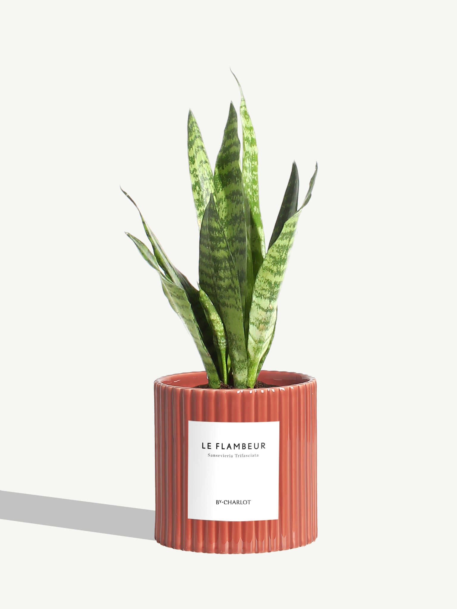 Le Flambeur