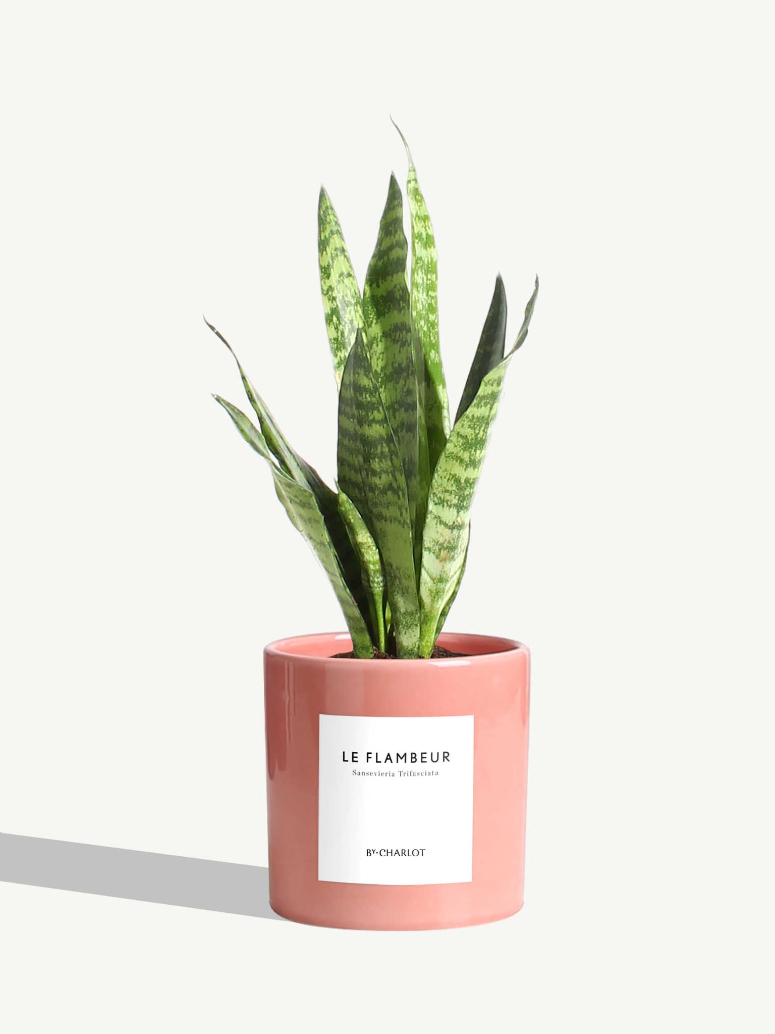 Le Flambeur