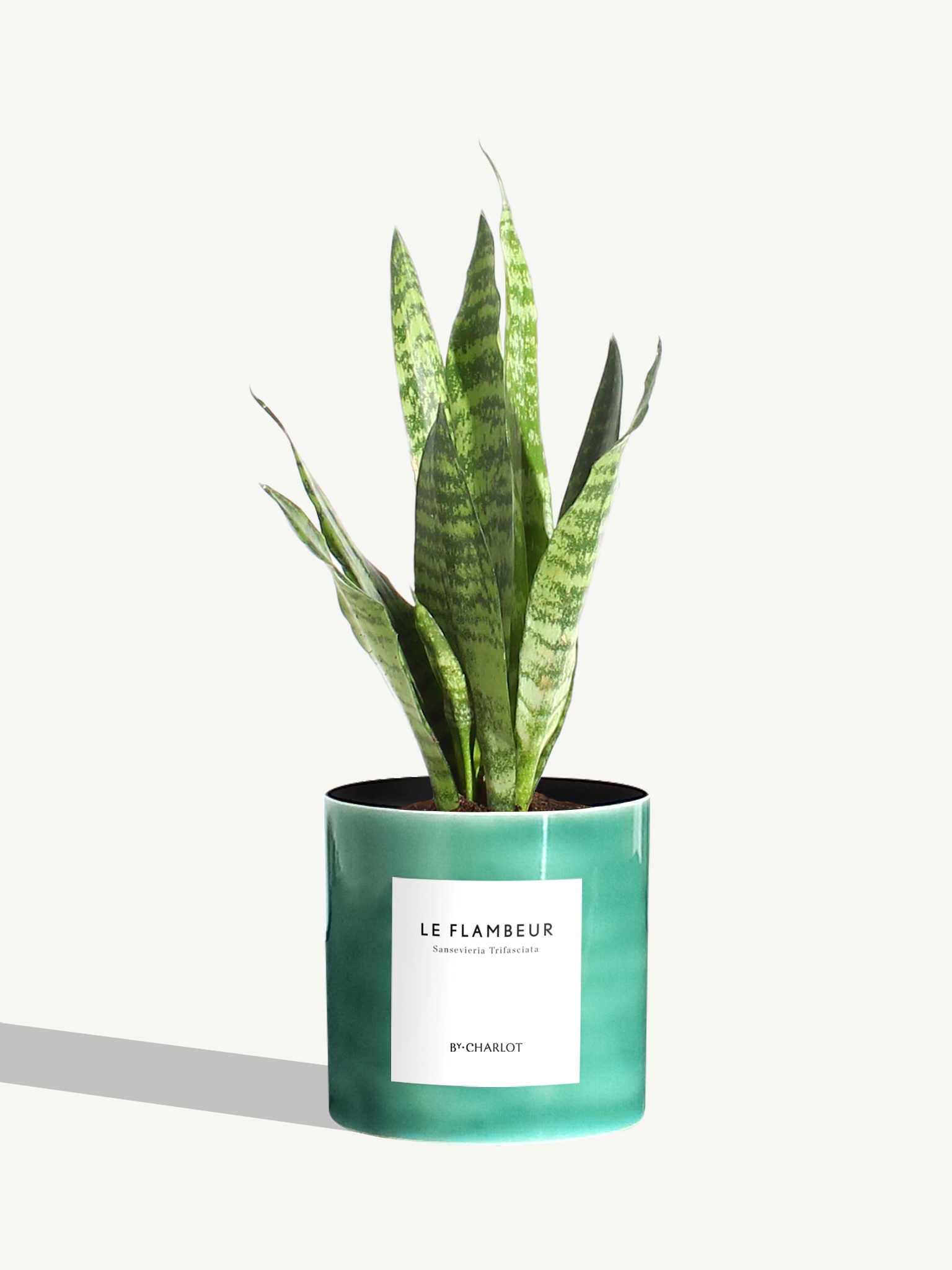 Le Flambeur