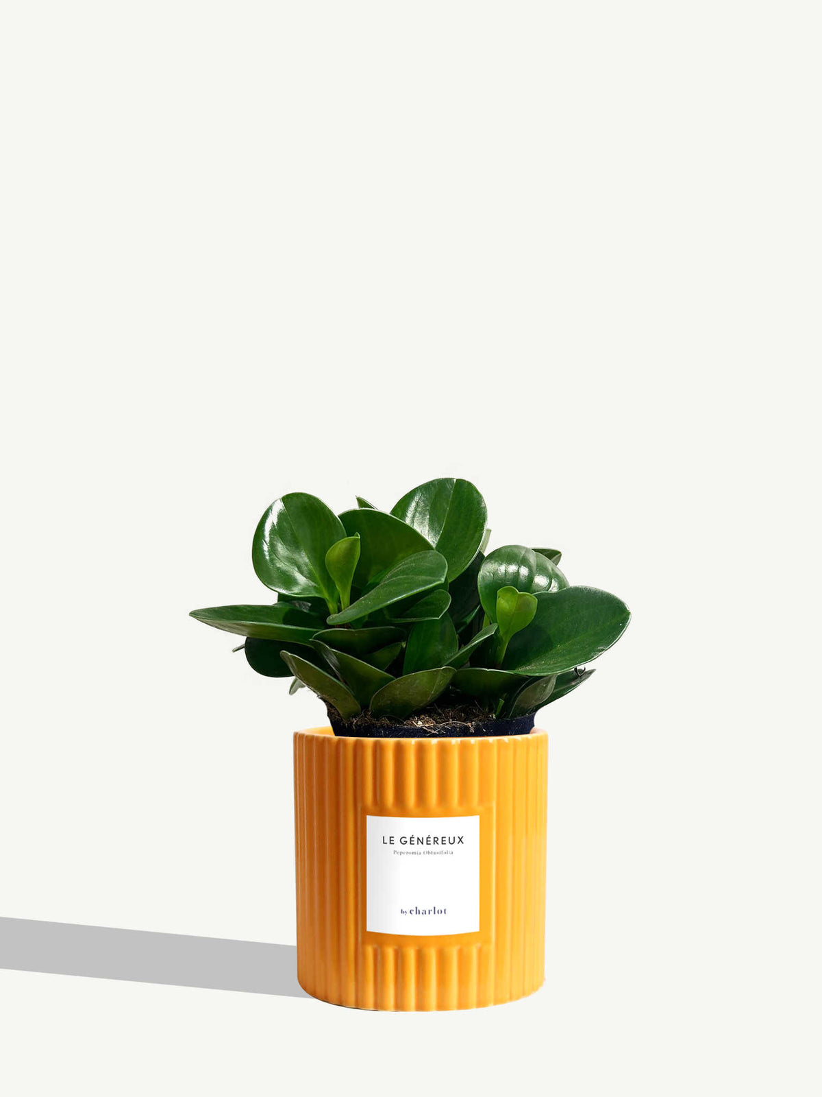 Le Généreux