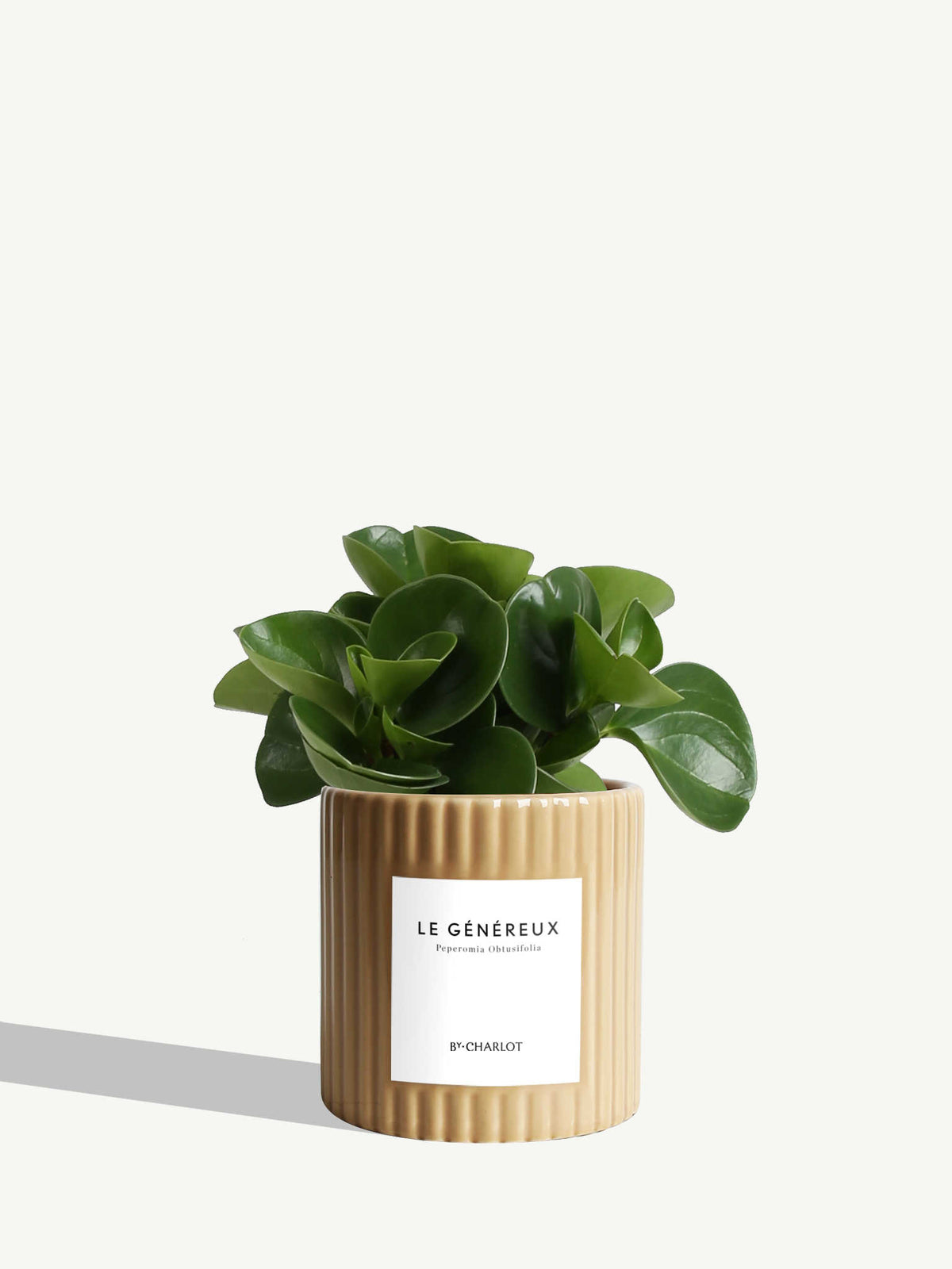 Le Généreux