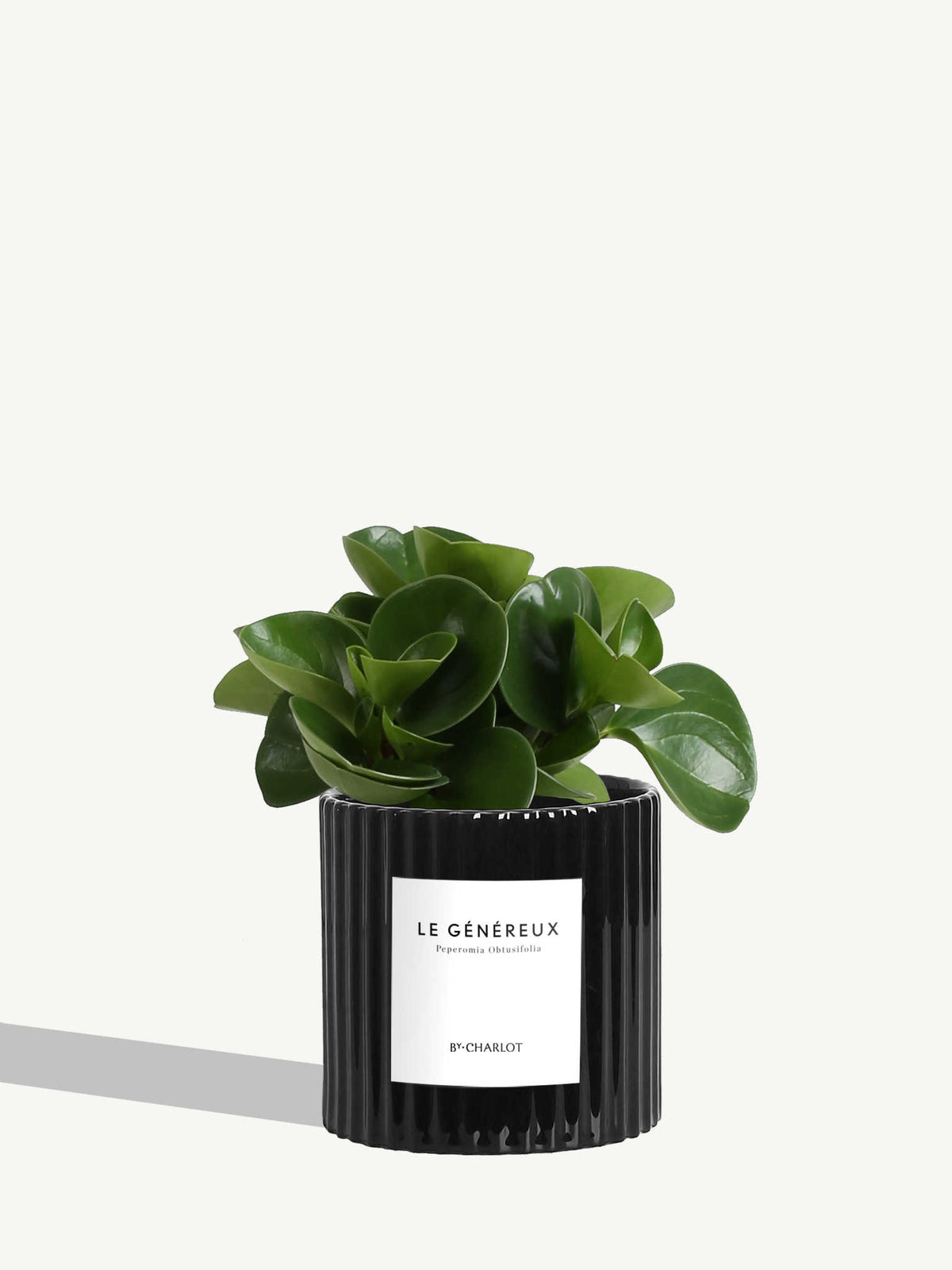 Le Généreux