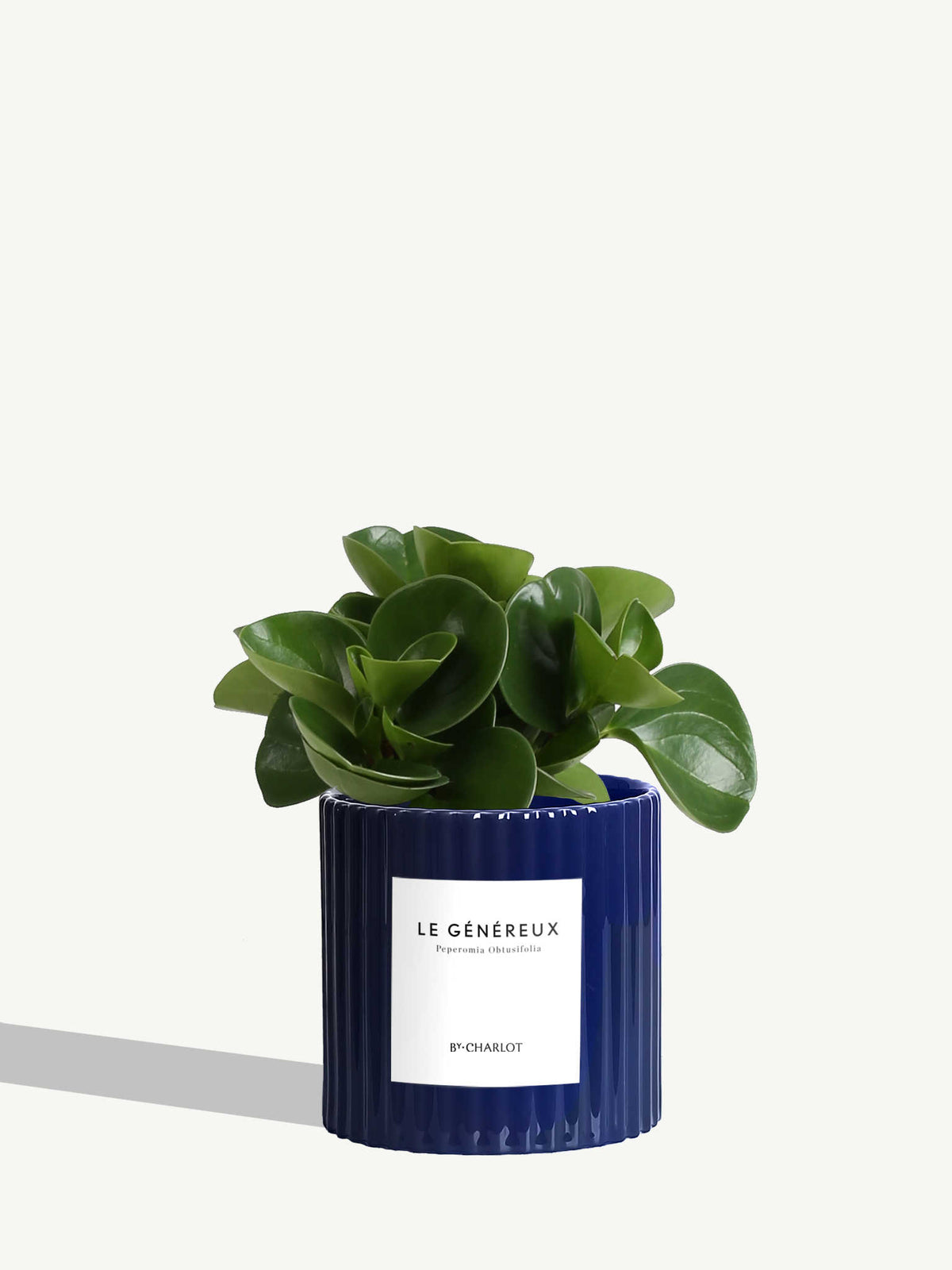 Le Généreux