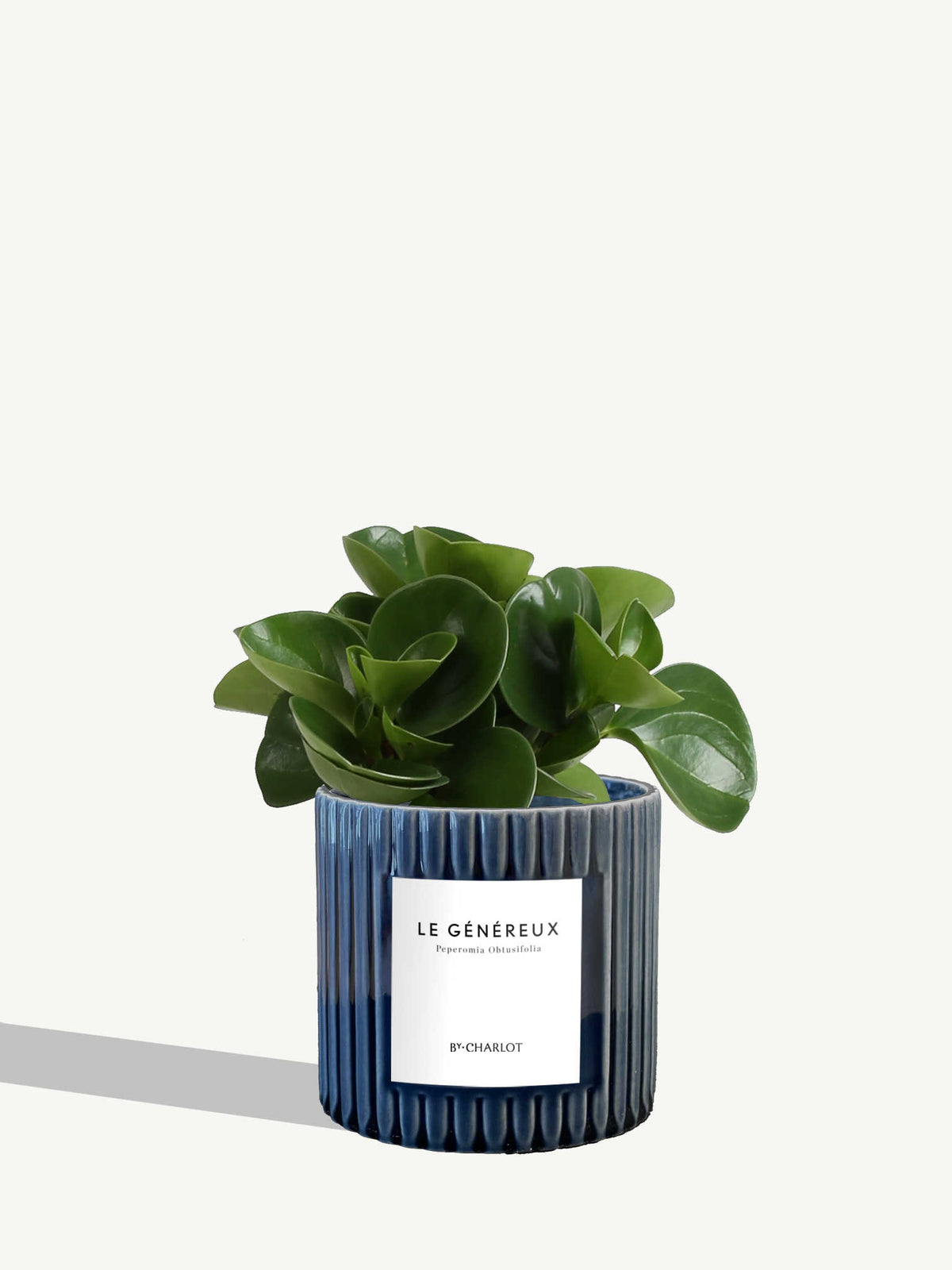 Le Généreux