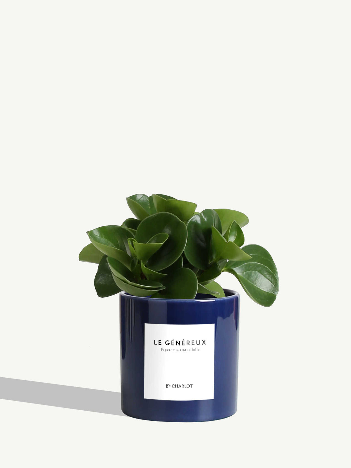 Le Généreux