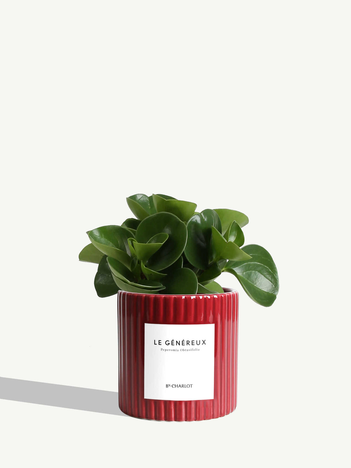 Le Généreux
