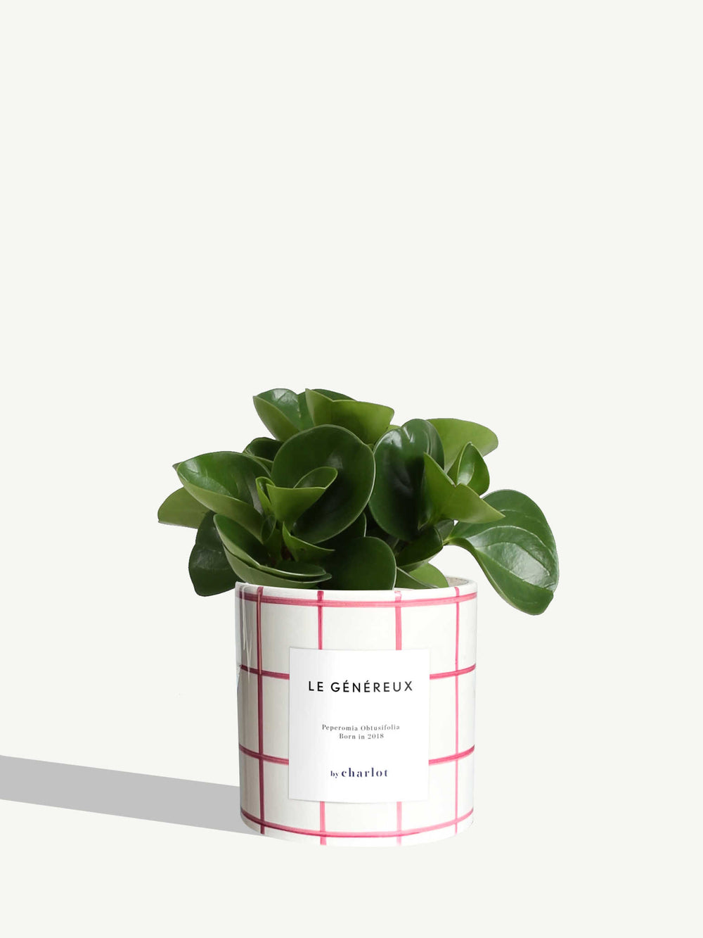 The Generous One