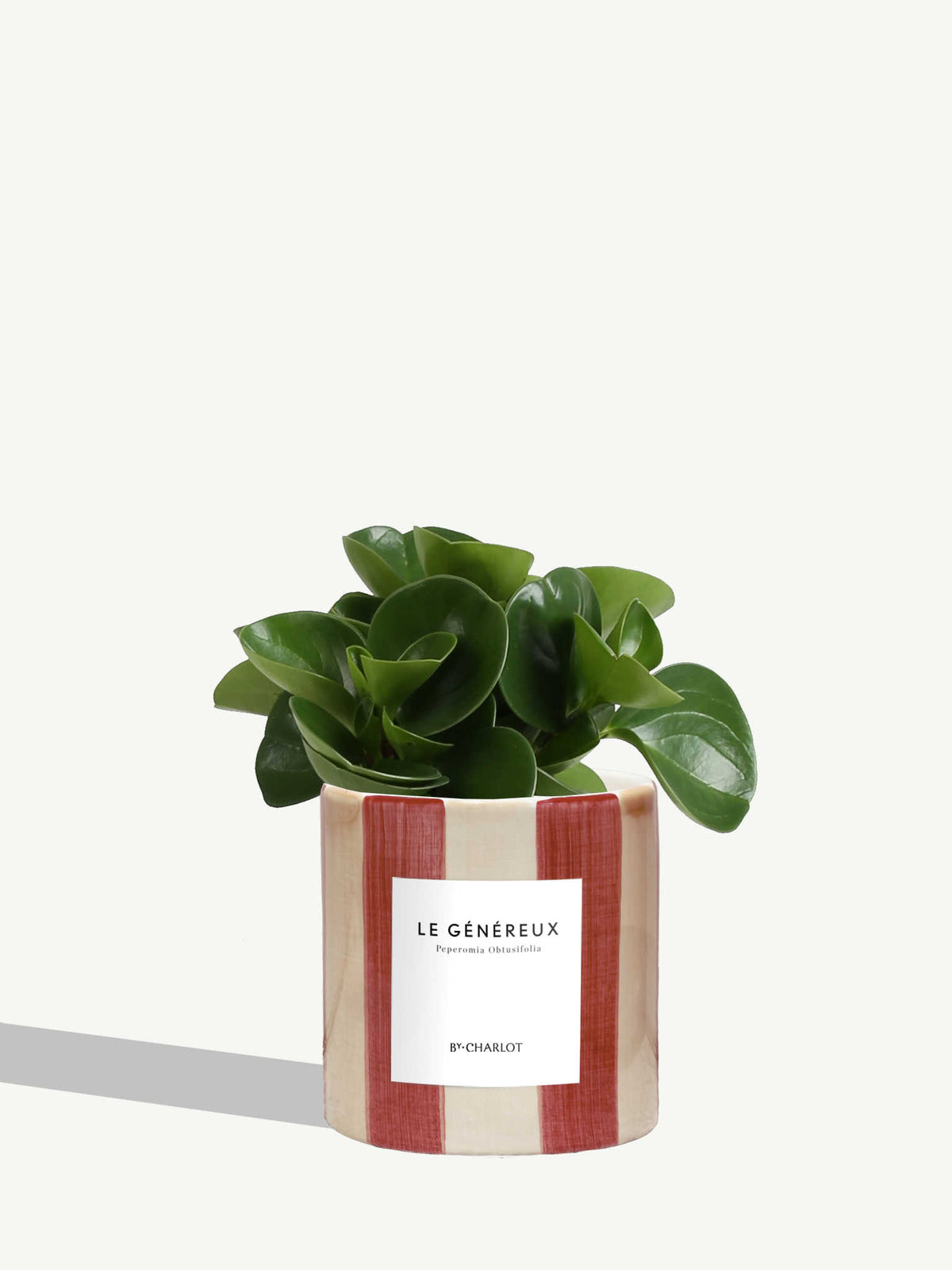 Le Généreux