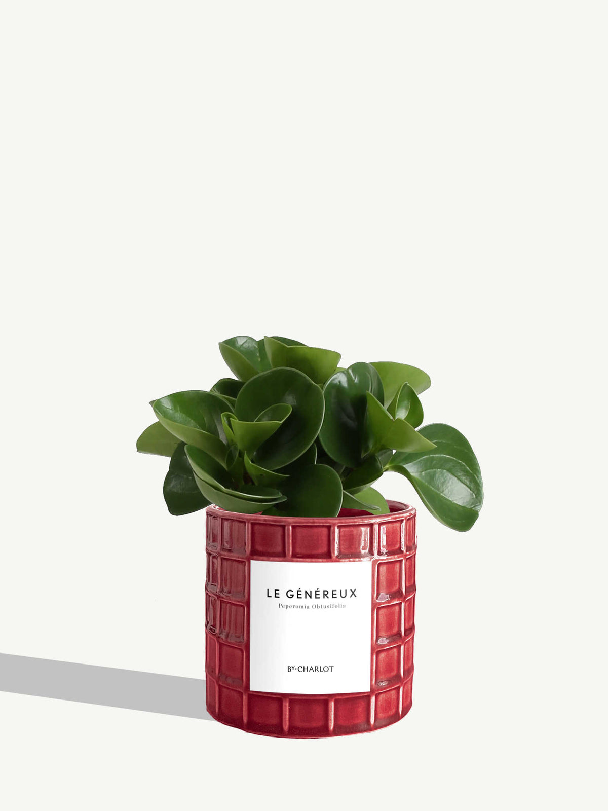 Le Généreux