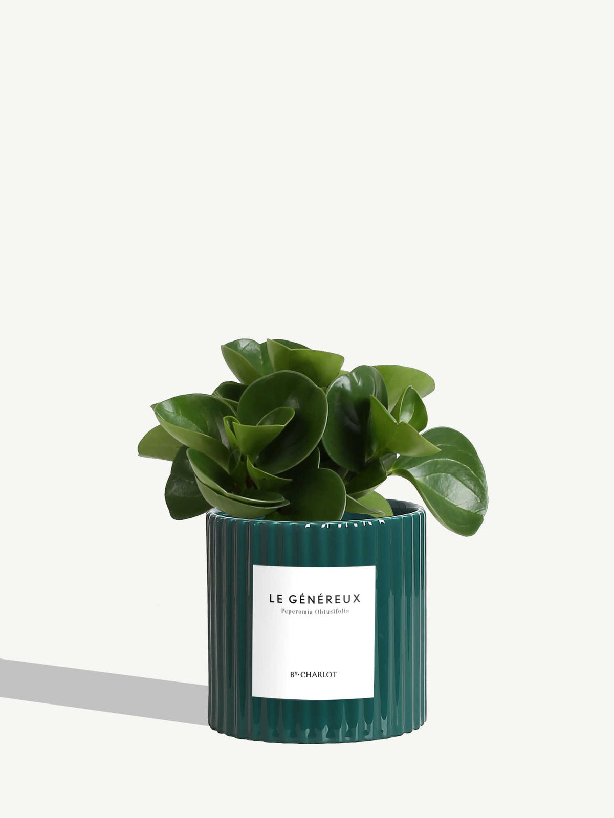 Le Généreux