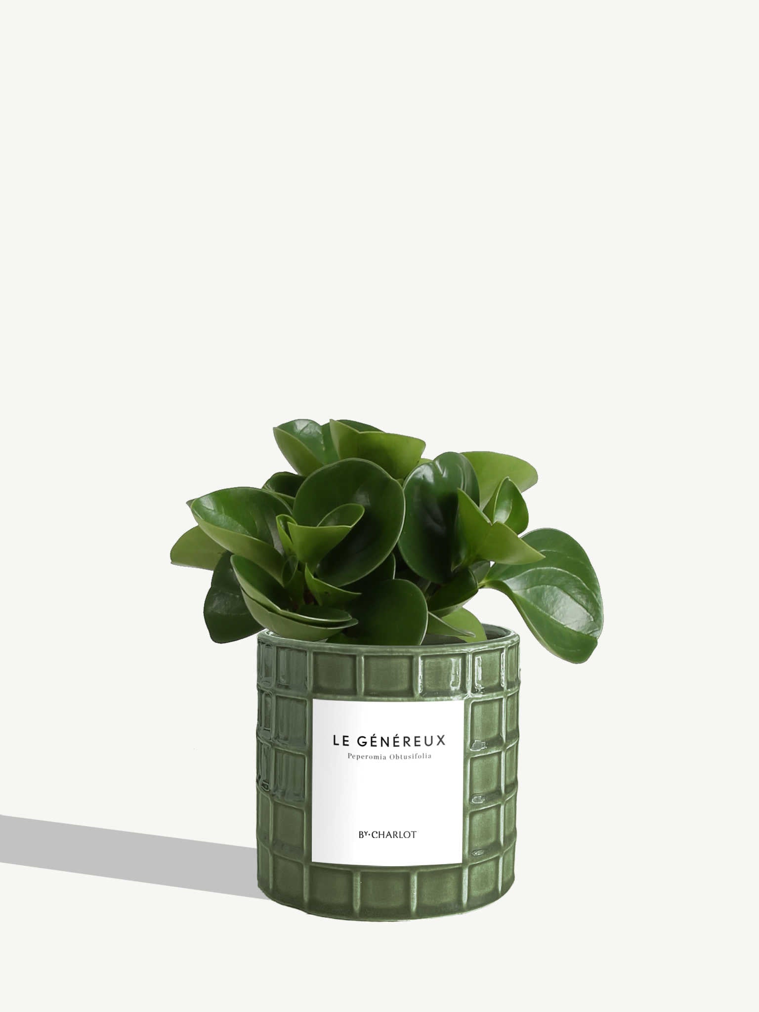 Le Généreux