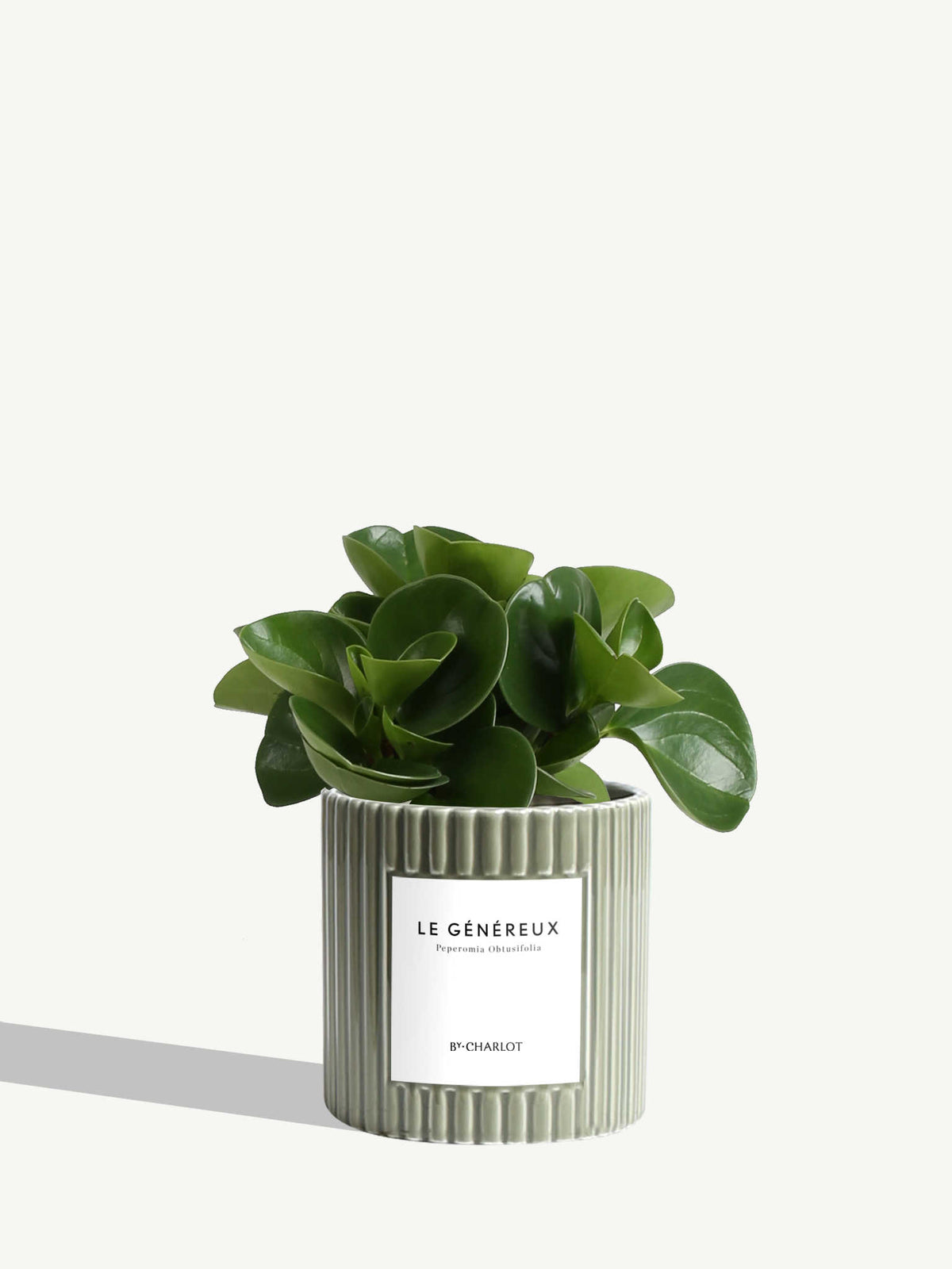 Le Généreux