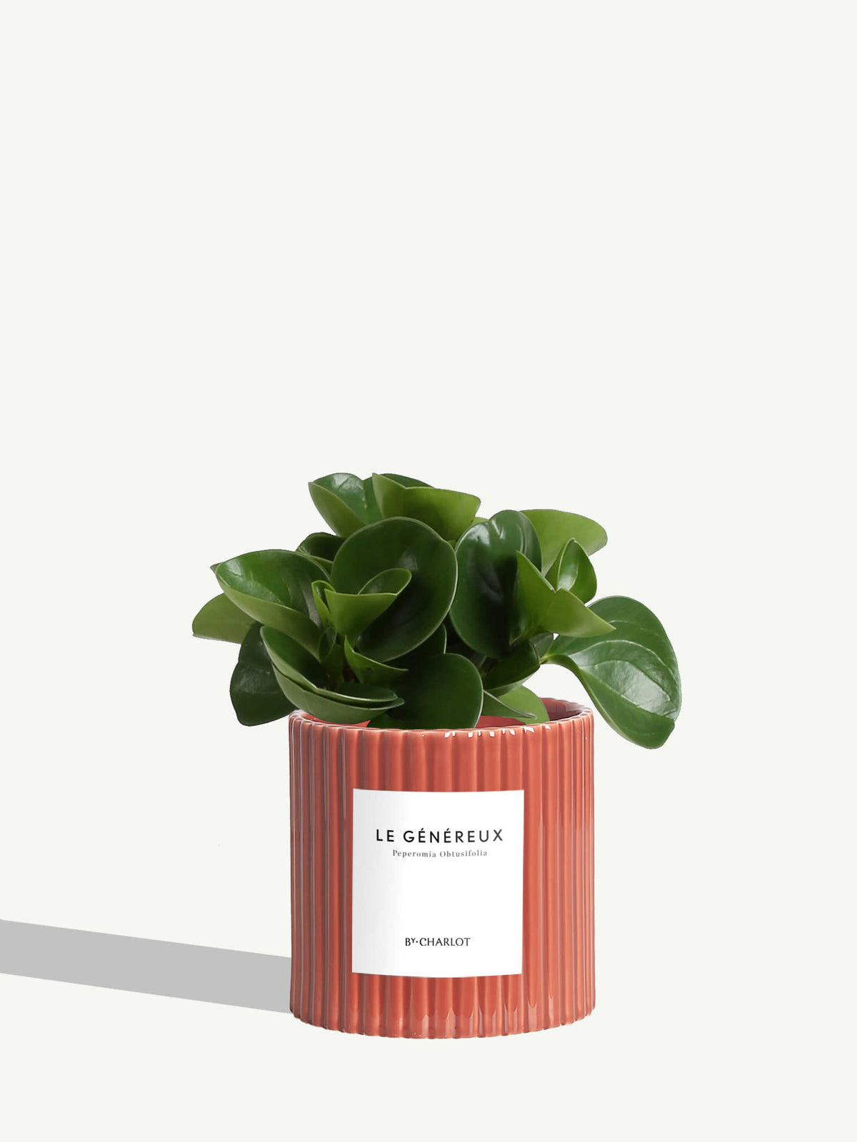 Le Généreux