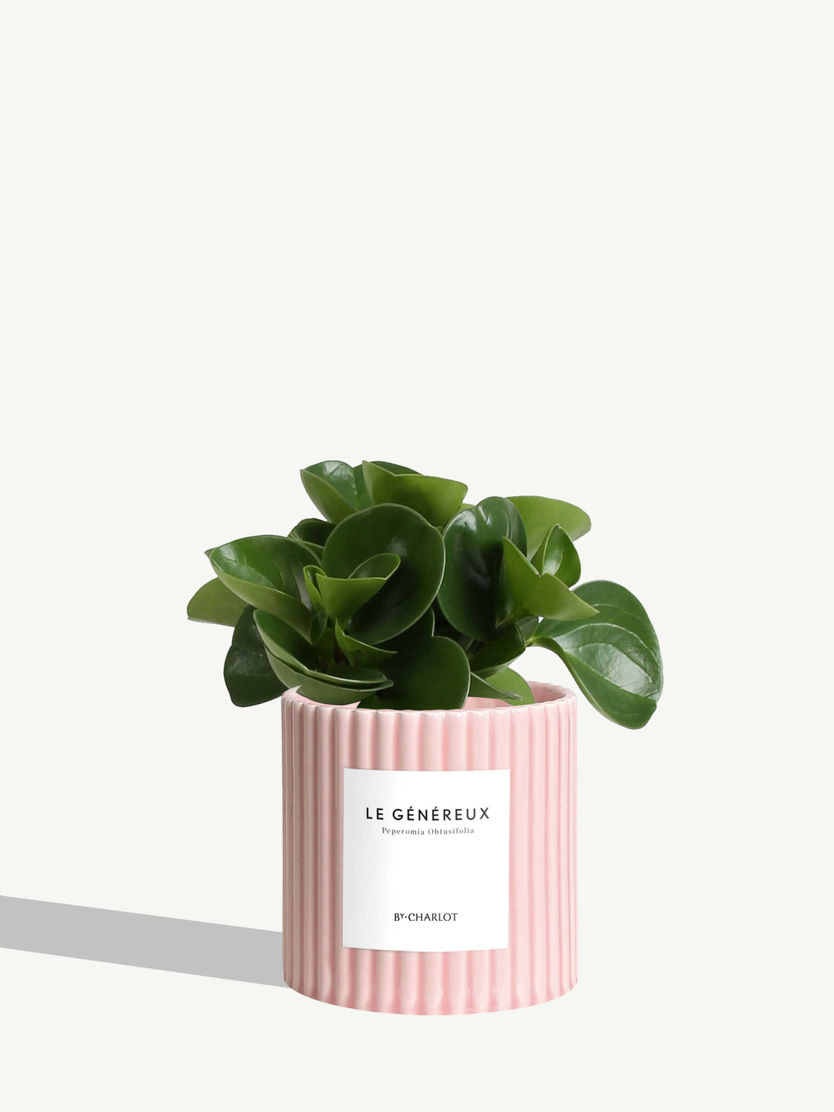 Le Généreux