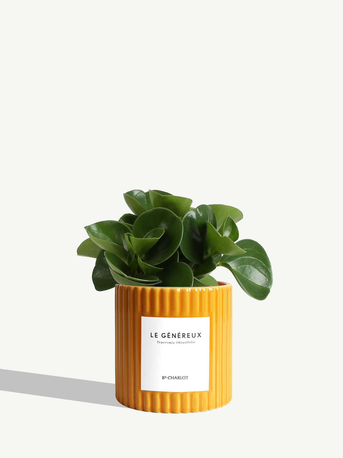 Le Généreux