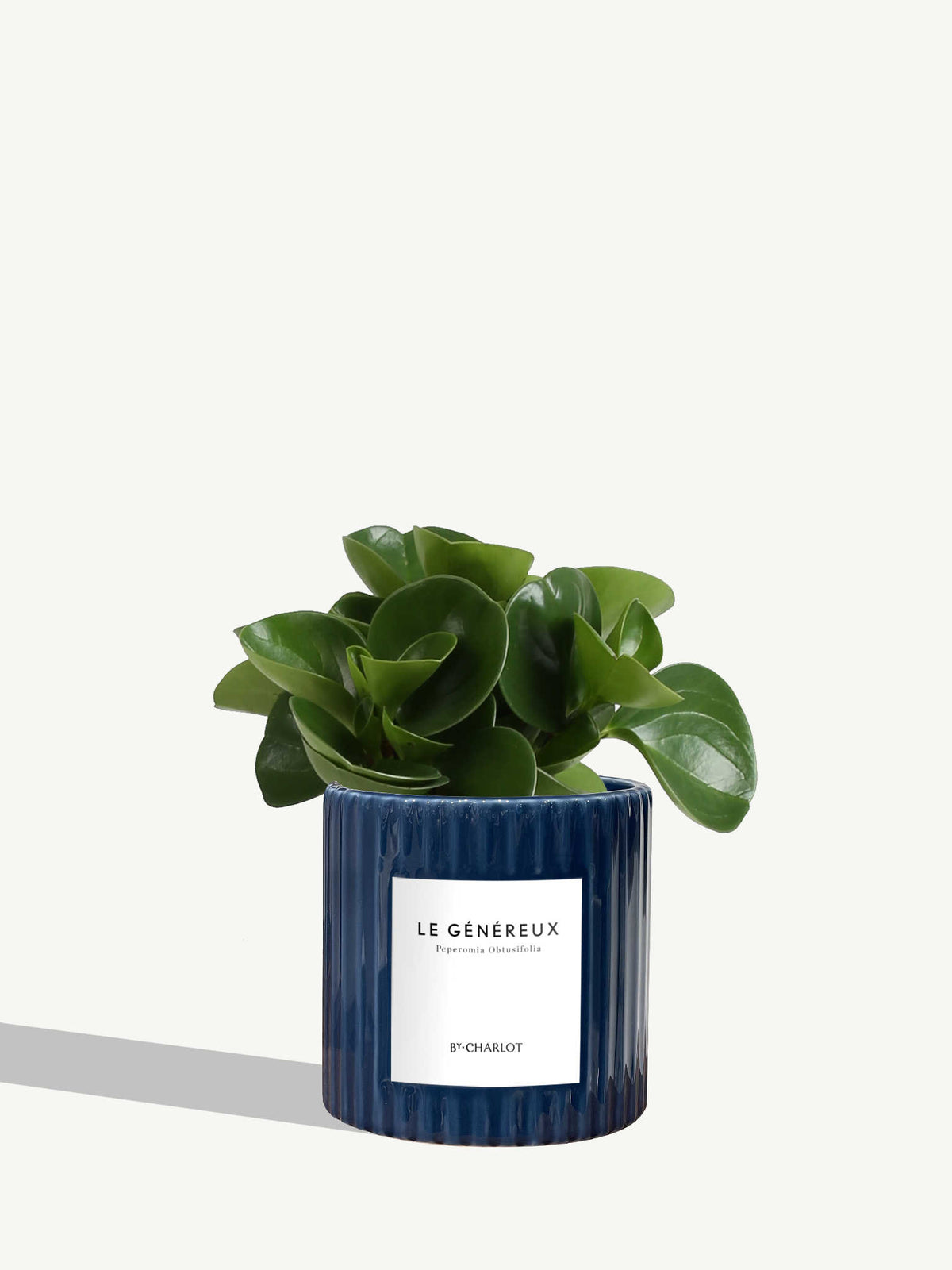 Le Généreux