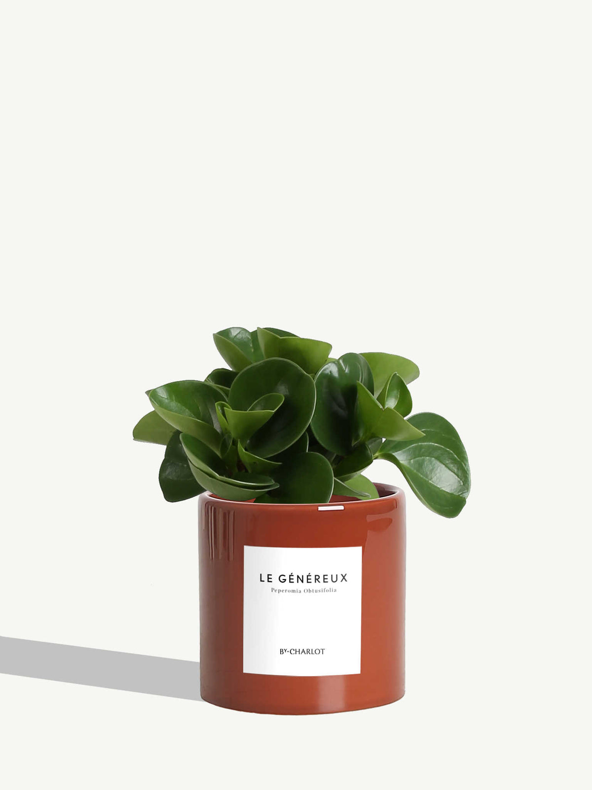 Le Généreux