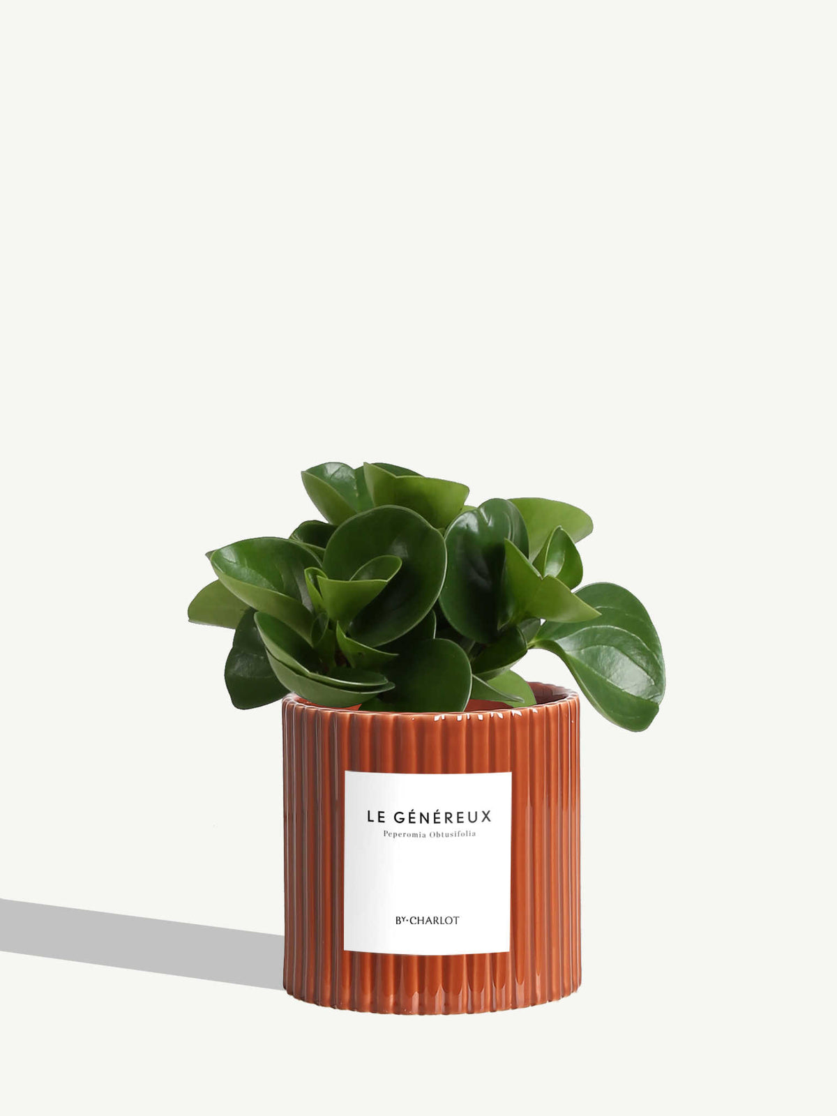 Le Généreux