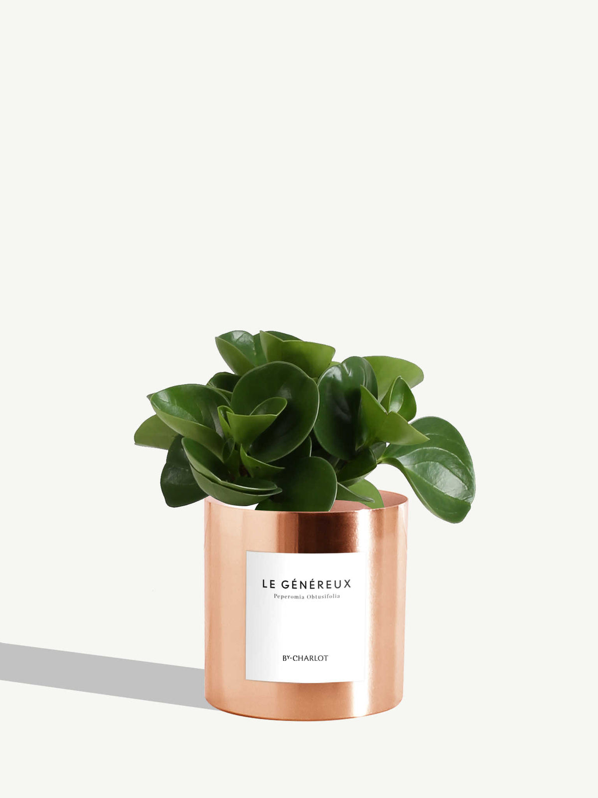 Le Généreux