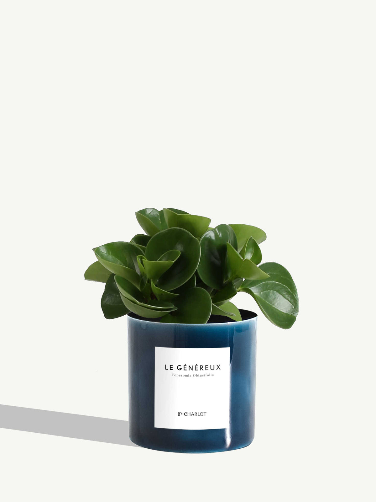 Le Généreux