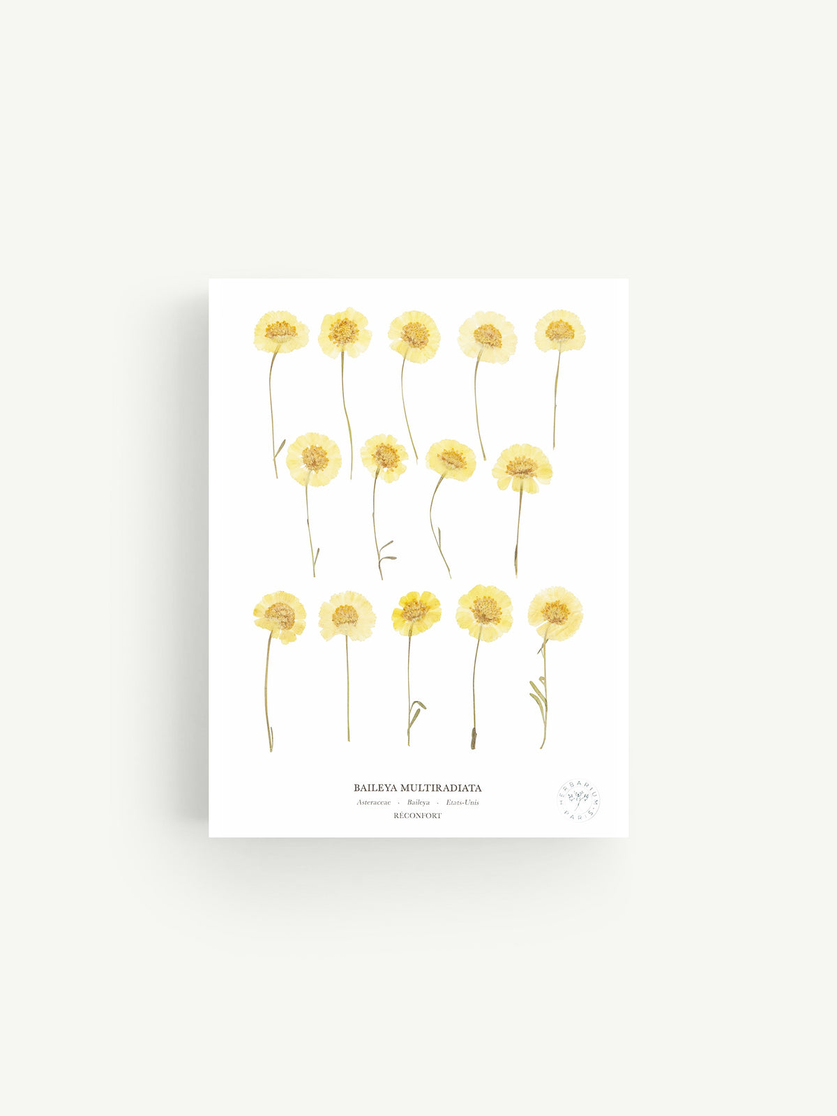 Baileya Herbarium