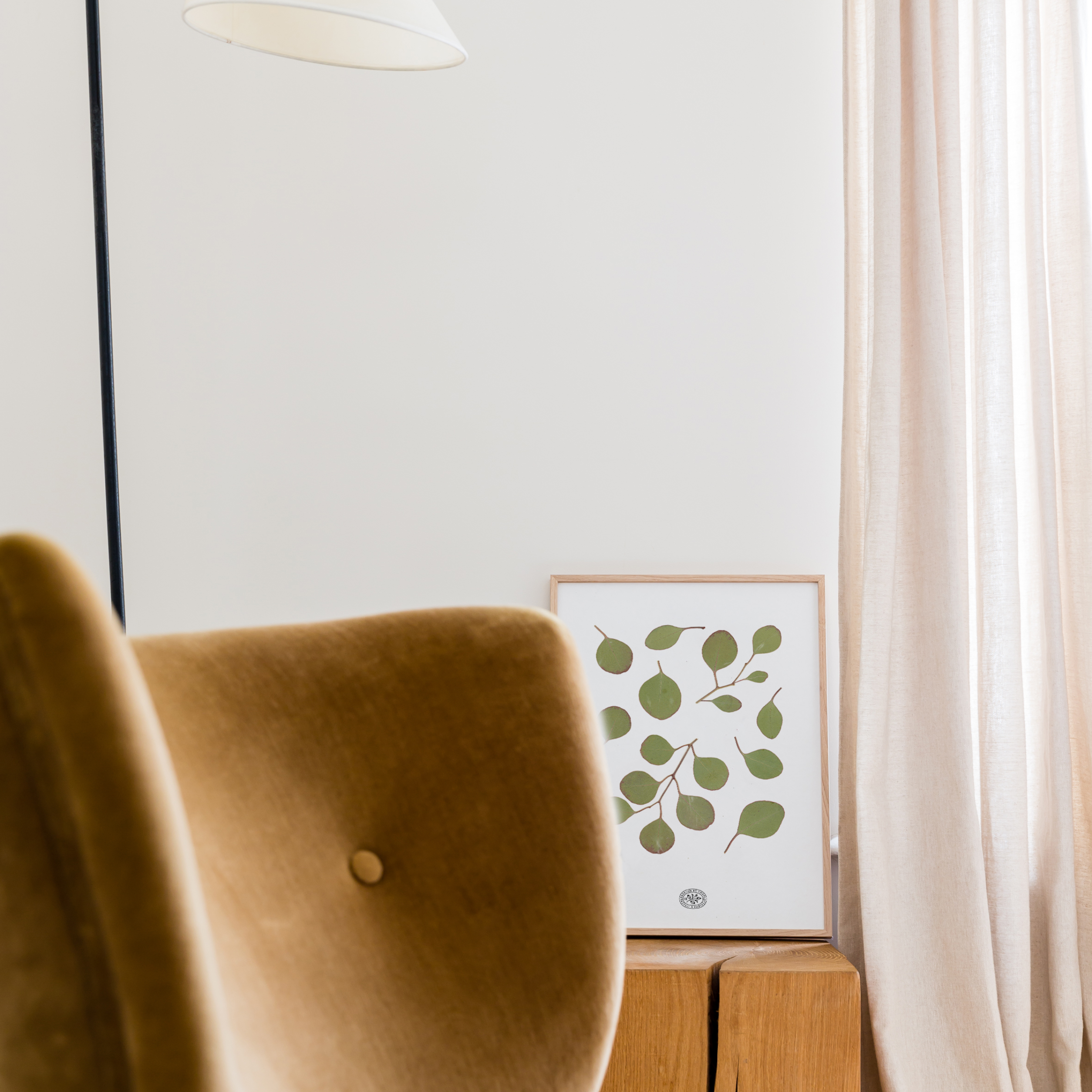 White Eucalyptus Herbarium 