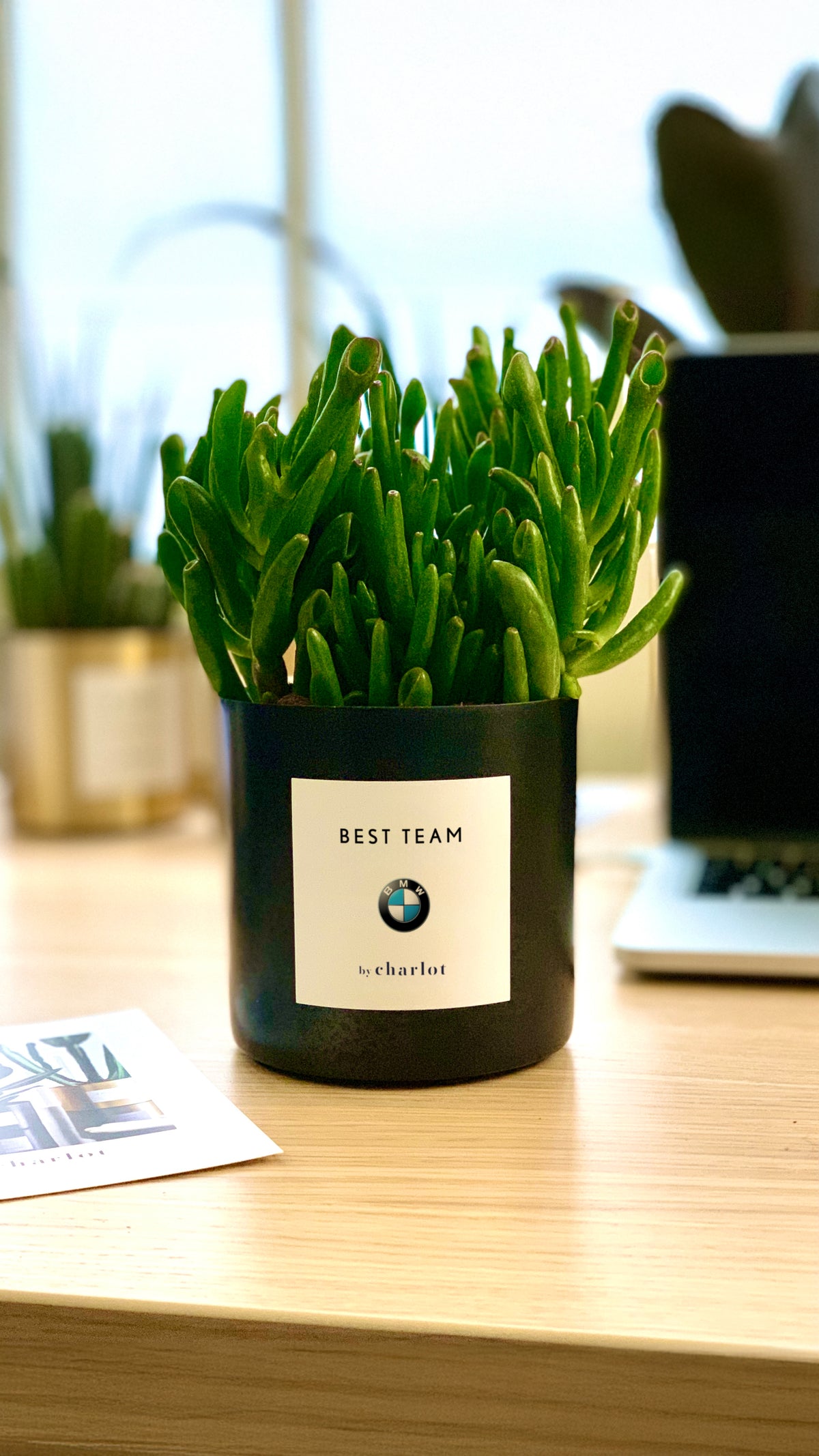Plante avec étiquette BEST TEAM et logo BMW